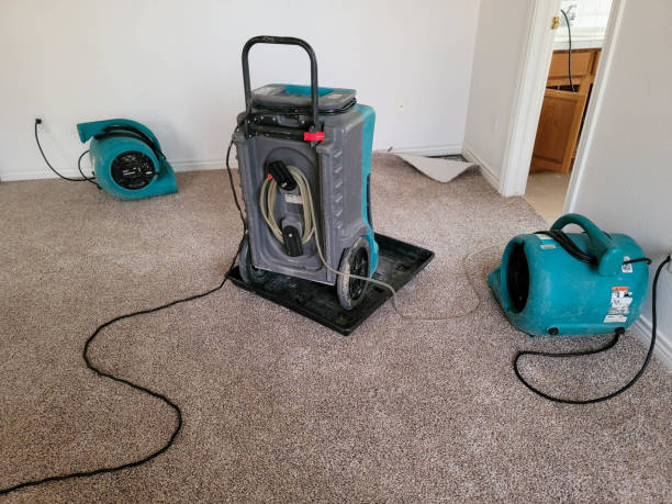 Best Residential water damage restoration  in Millbrook, NY