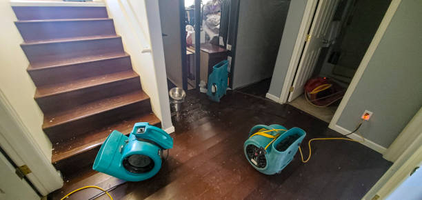 Best Carpet water damage restoration  in Millbrook, NY