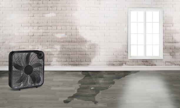 Best Water damage repair service  in Millbrook, NY