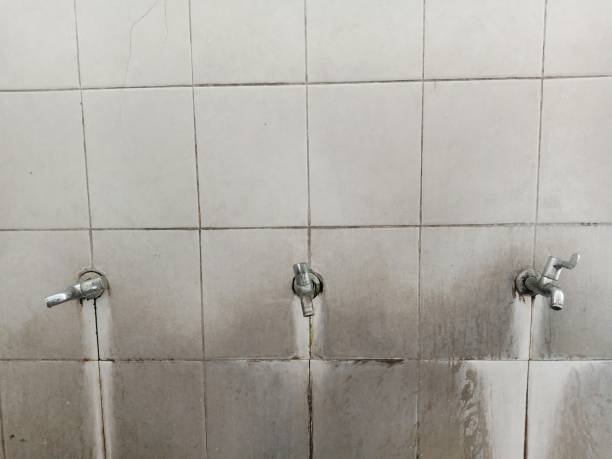 Best Flood restoration services  in Millbrook, NY