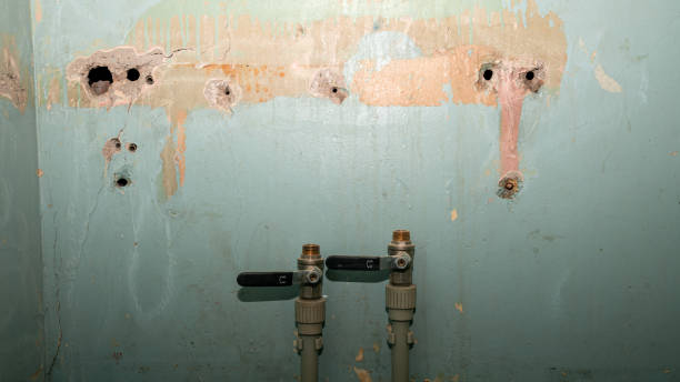 Best Flooded house restoration  in Millbrook, NY