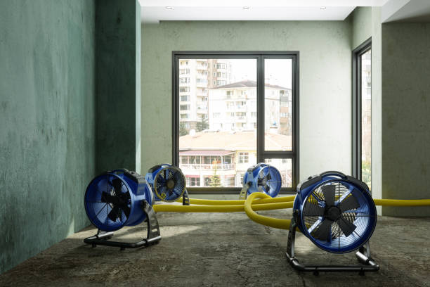 Best Local water damage restoration  in Millbrook, NY